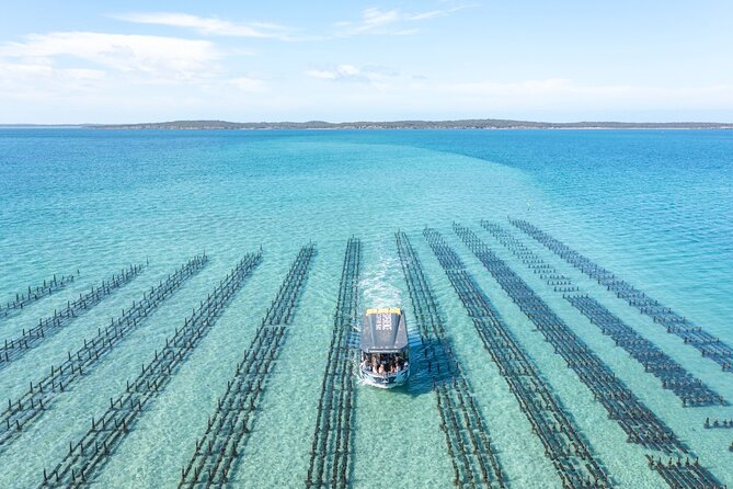 Experience Coffin Bay Oyster Farm and Bay Tour - Brothers Islands, seals, and the chance of dolphins