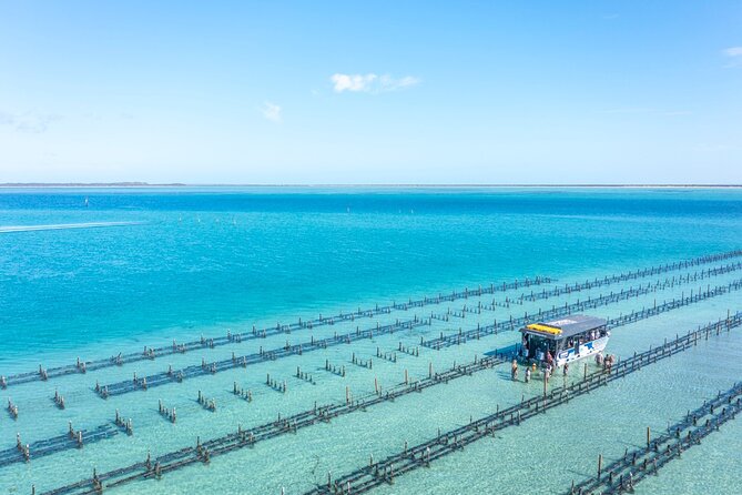 Experience Coffin Bay Oyster Farm and Bay Tour - Who will enjoy this most