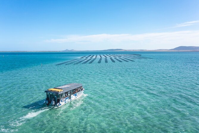 Experience Coffin Bay Oyster Farm and Bay Tour - Practical details that matter