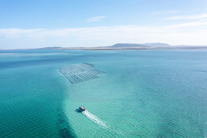 Experience Coffin Bay Oyster Farm and Bay Tour - A 9:30 am start from Coffin Bay Yacht Club Jetty