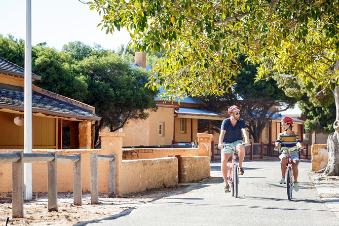 Experience Rottnest with Ferry & Bike Hire - Finding quokkas without treating them like pets