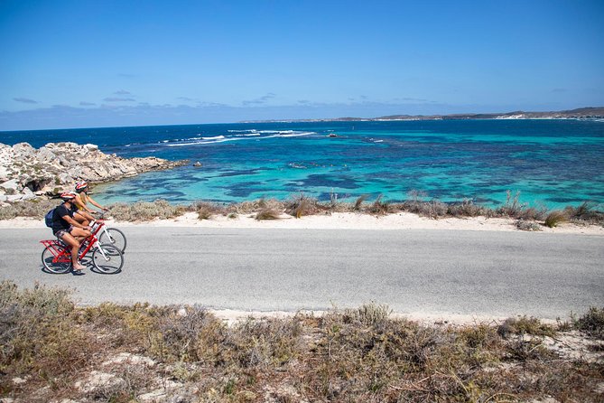Experience Rottnest with Ferry & Bike Hire - Getting your bearings at the visitor centre