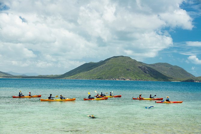 Fitzroy Island Day Tour from Cairns - Snorkeling from the beach
