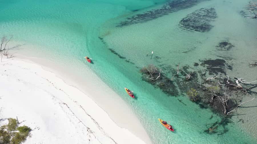 Fraser Island (K'gari): Remote Island and Whale Experience - Lunch on board, then another creek