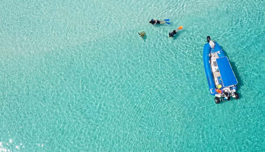Fraser Island (K'gari): Remote Island and Whale Experience - Food, crew care, and comfort at sea