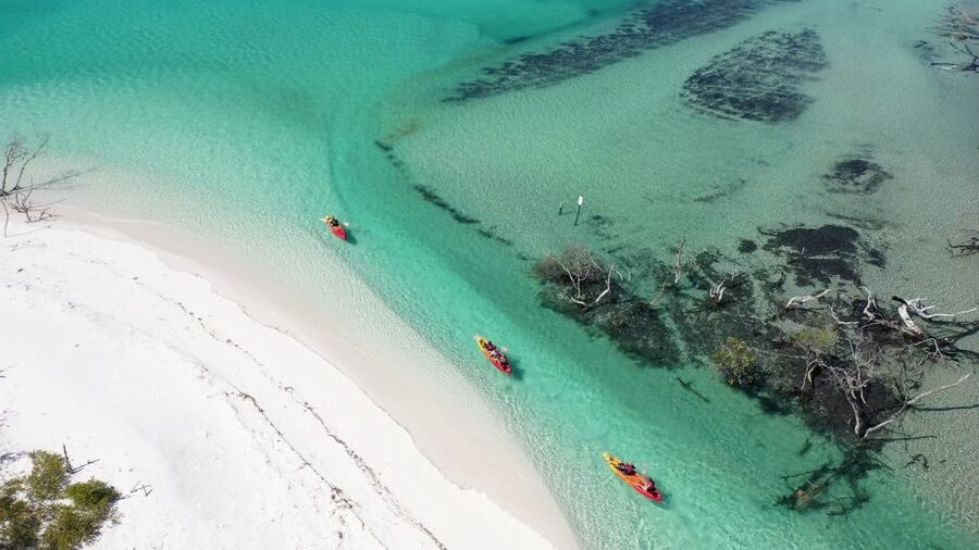 Fraser Island (K'gari): Remote Island and Whale Experience - Is $190 good value?