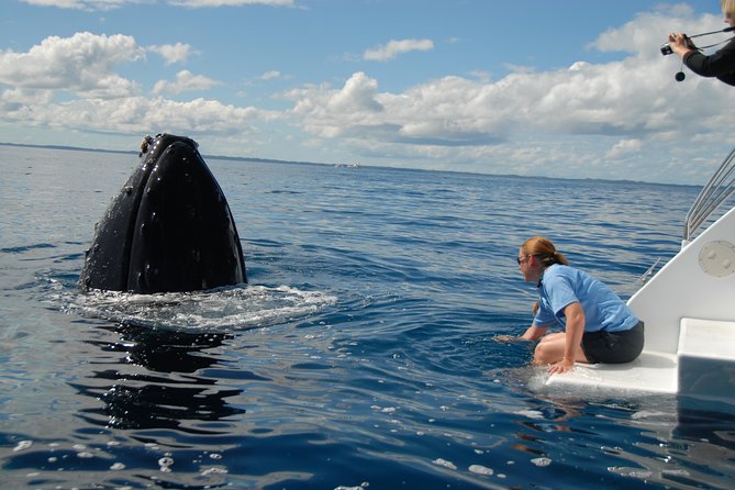 Fraser Island Whale Watch Encounter - Hearing whale songs through the hydrophone