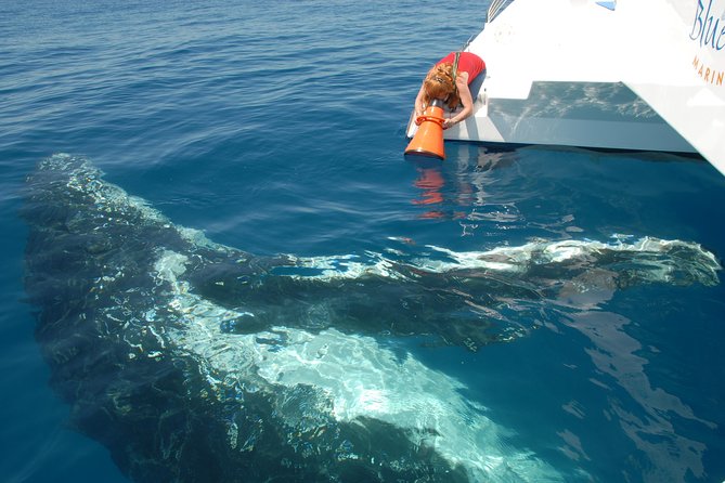 Fraser Island Whale Watch Encounter - Food, drinks, and the long day afloat