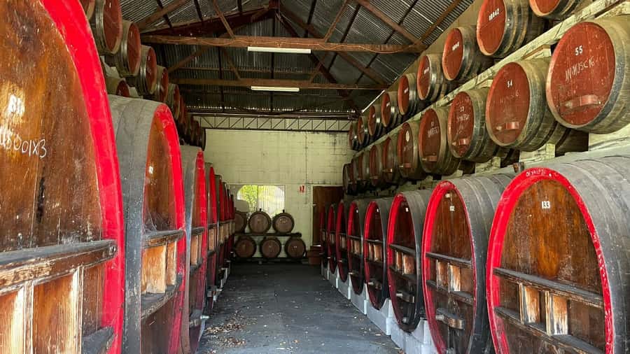 From Adelaide: Barossa to Hahndorf Wine Tasting and Lunch - Who gets the most from this tour