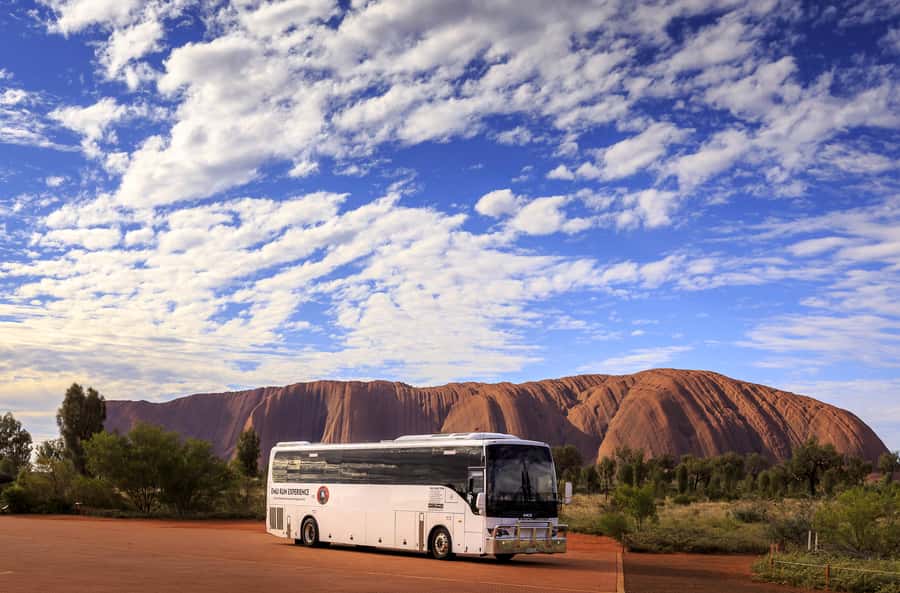 From Alice Springs: Day Trip to Uluru with BBQ Dinner - Key details at a glance