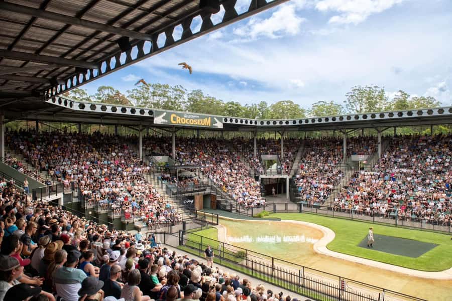 From Brisbane: Australia Zoo Transfer and Entry Ticket - Why this is one of Brisbane’s best full-day wildlife outings