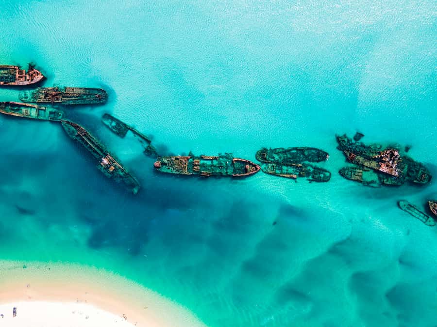 From Brisbane: Moreton Island Full-Day Trip - Key points at a glance