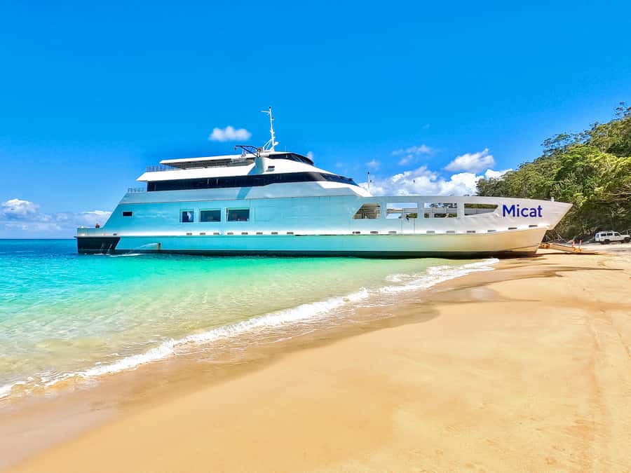 From Brisbane: Moreton Island Full-Day Trip - A big Moreton Island day in a small window
