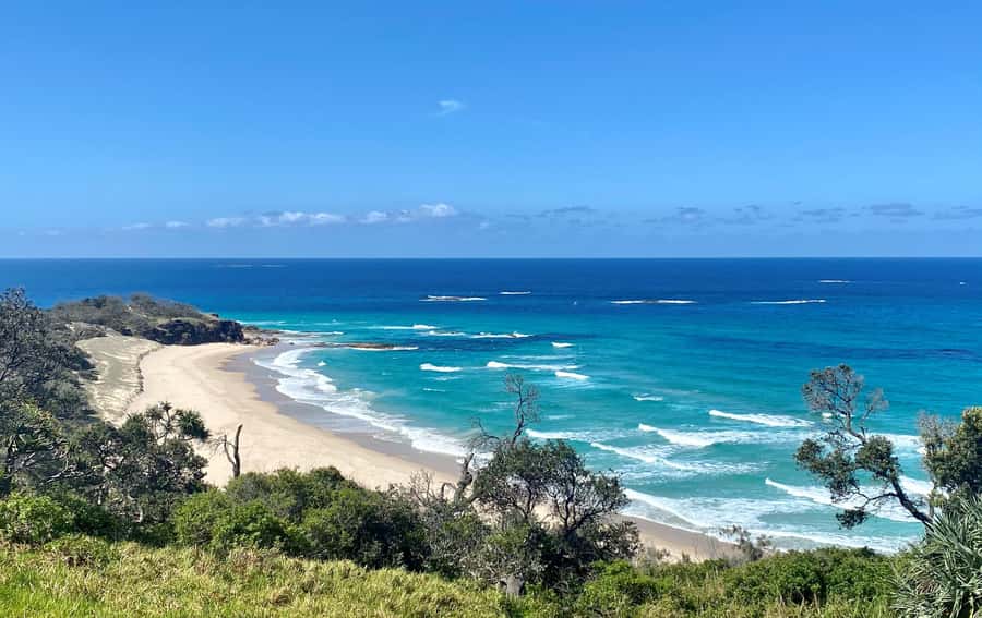 From Brisbane: North Stradbroke Island Wildlife Adventure - Key points at a glance