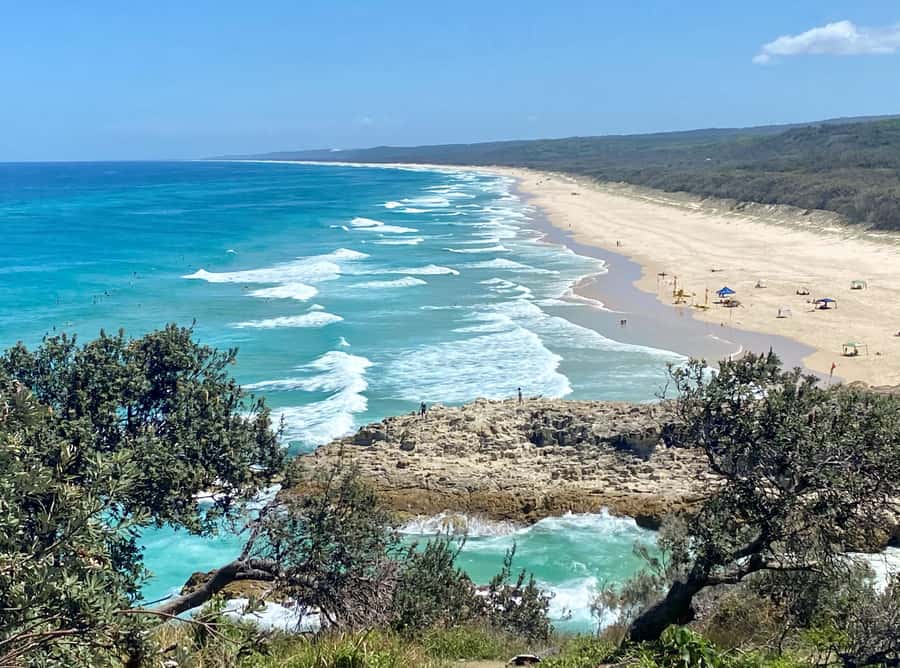 From Brisbane: North Stradbroke Island Wildlife Adventure - Why North Stradbroke Island makes a strong Brisbane day trip