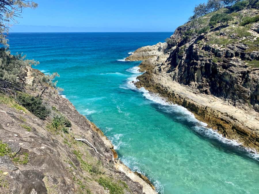From Brisbane: North Stradbroke Island Wildlife Adventure - Brown Lake and Myora Springs