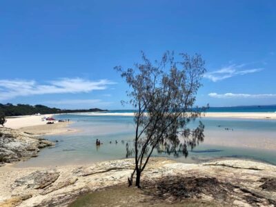 North Stradbroke Island Wildlife Adventure