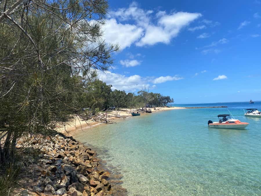 From Brisbane: North Stradbroke Island Wildlife Adventure - Lunch at Point Lookout