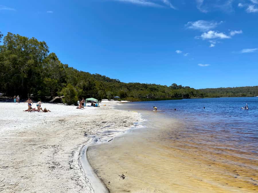 From Brisbane: North Stradbroke Island Wildlife Adventure - What guides add to the experience