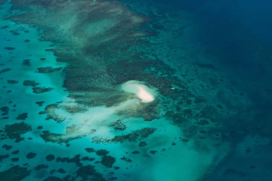 From Cairns: 40-Min Scenic Reef Window Seat Airplane Flight - Who will enjoy this most?