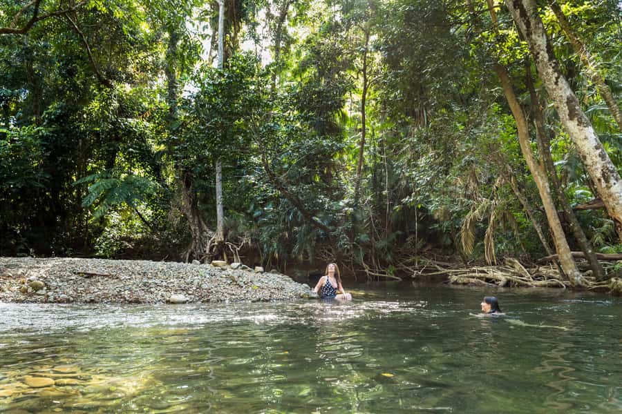 From Cairns: Daintree Rainforest & Cape Tribulation 4WD Tour - Who should book this tour?
