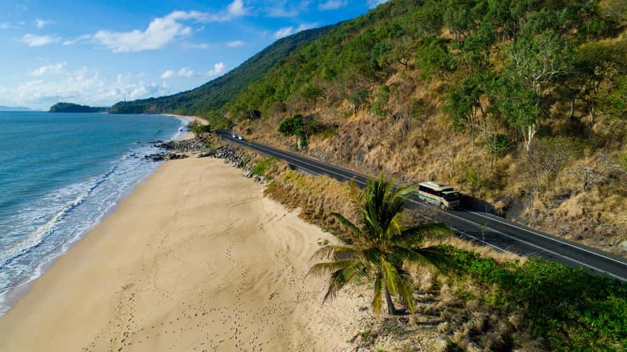 From Cairns: Daintree Rainforest & Cape Tribulation 4WD Tour - Why this Daintree day works so well