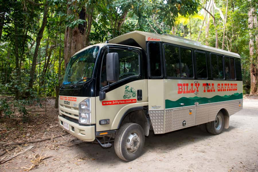 From Cairns: Daintree Rainforest & Cape Tribulation 4WD Tour - Tea, biscuits, and the Daintree River cruise