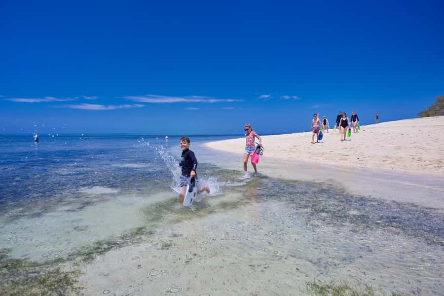 From Cairns: Full-Day Green Island Cruise - Who Should Book This Green Island Day?