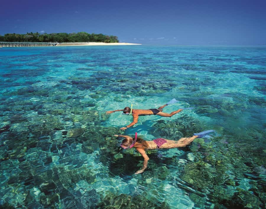From Cairns: Full-Day Green Island Cruise - Leaving Cairns from Marlin Wharf