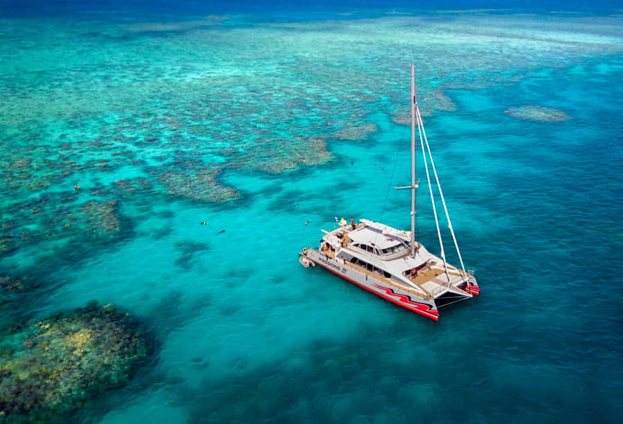 From Cairns: Great Barrier Reef Cruise by Premium Catamaran - A full reef day from Cairns