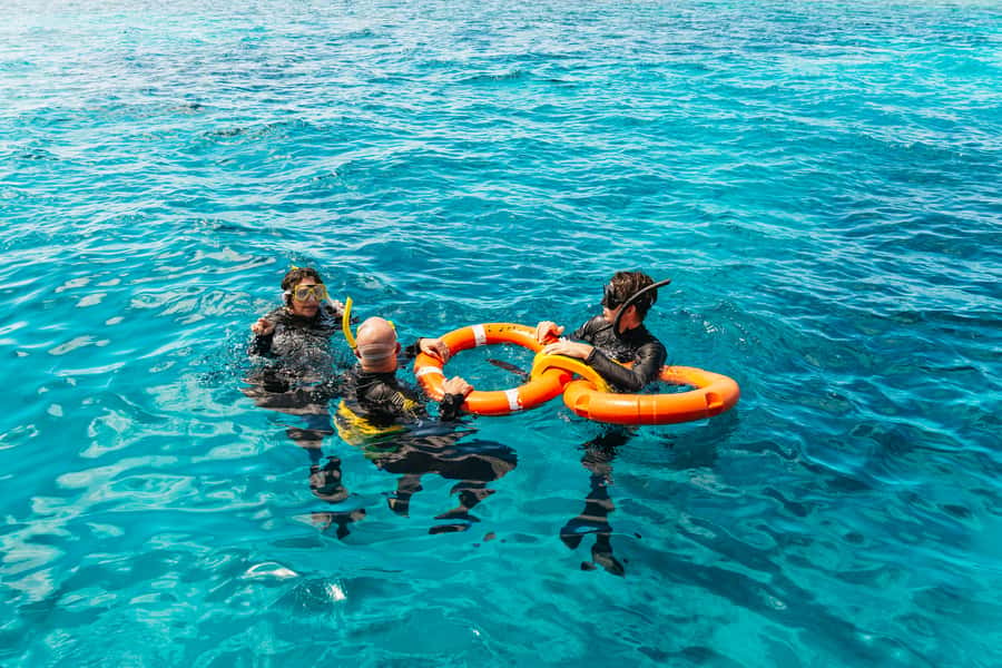 From Cairns: Great Barrier Reef Cruise by Premium Catamaran - Check-in at the Reef Fleet Terminal