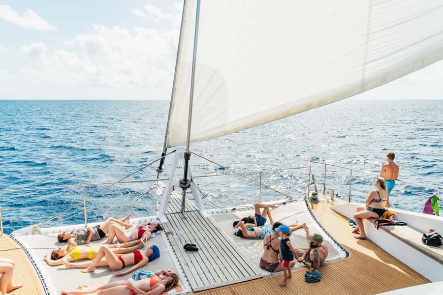 From Cairns: Great Barrier Reef Cruise by Premium Catamaran - First reef stop: the main morning session