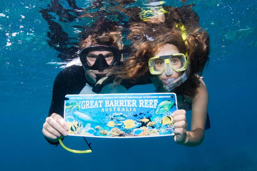 From Cairns: Great Barrier Reef Cruise by Premium Catamaran - The second reef stop earns the ticket