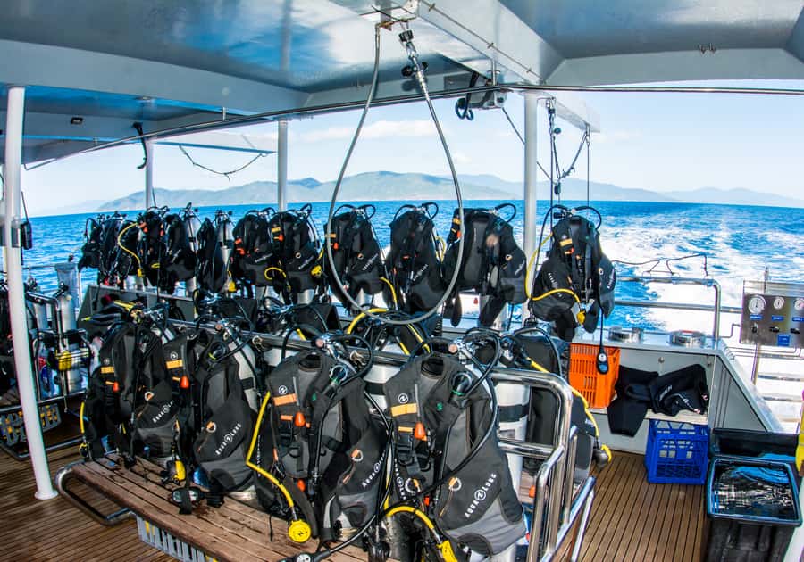From Cairns: Great Barrier Reef Cruise by Premium Catamaran - Scuba for first-timers and certified participants