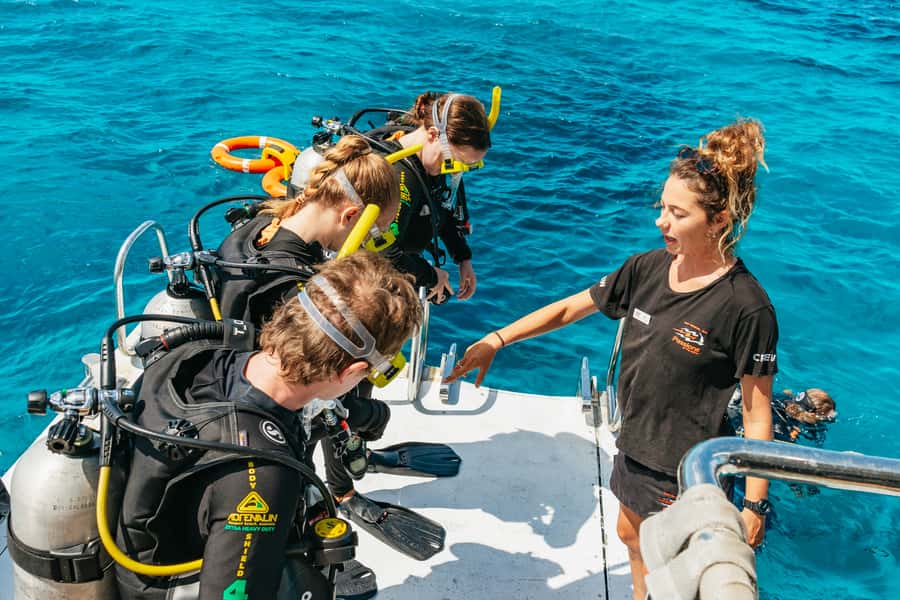 From Cairns: Great Barrier Reef Cruise by Premium Catamaran - The ride home and the eco message