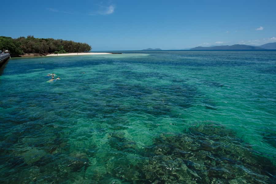 From Cairns: Green Island Half-Day Morning Cruise - The 45-Minute Ride Aboard Reef Rocket