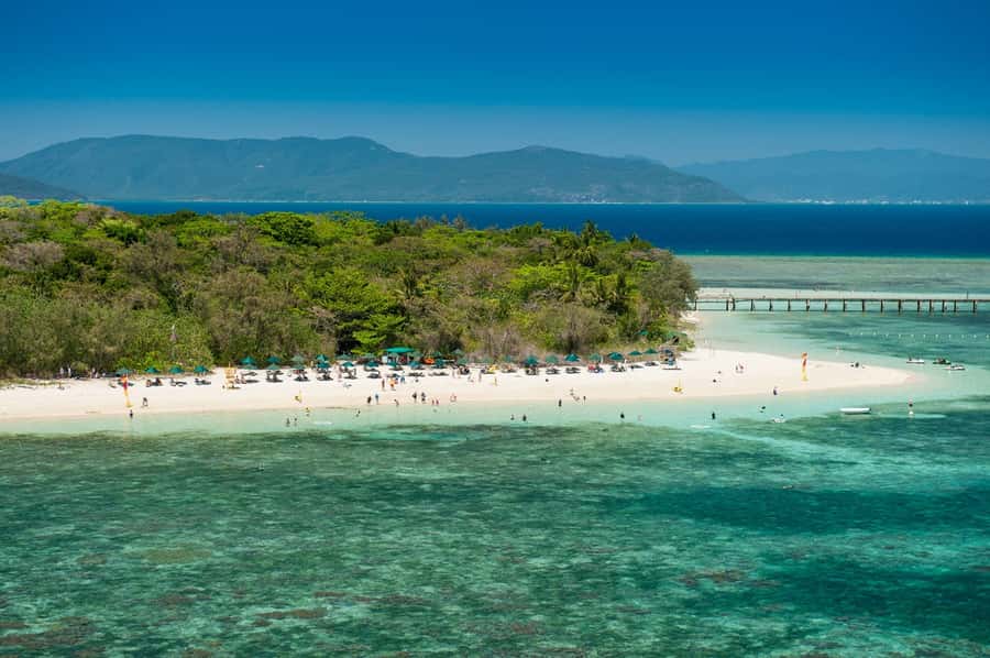 From Cairns: Green Island Half-Day Morning Cruise - Two Hours to Split Between Water and Island