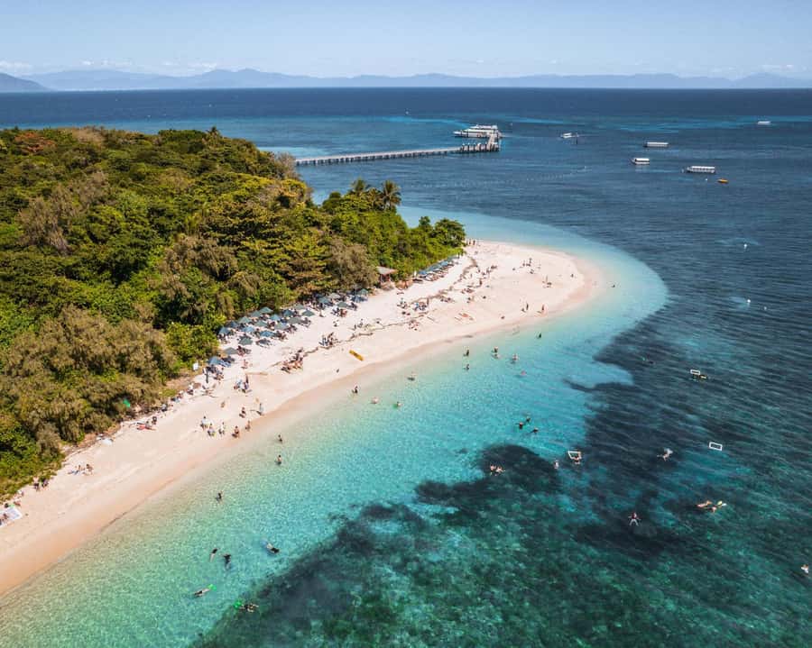 From Cairns: Half-Day Afternoon Cruise to Green Island - Choosing snorkeling or the glass-bottom boat
