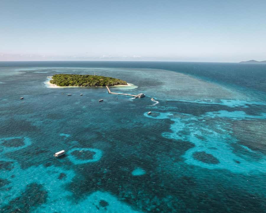 From Cairns: Half-Day Afternoon Cruise to Green Island - Your first look at the 600-year-old coral cay