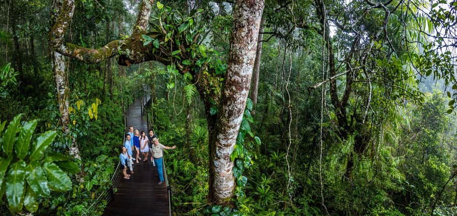 From Cairns: Self-Guided Kuranda Trip with Train and Skyrail - How the timing works on the ground