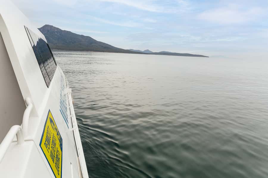 From Coles Bay: Wineglass Bay Cruise with Lunch - Should you book the Wineglass Bay Cruise?