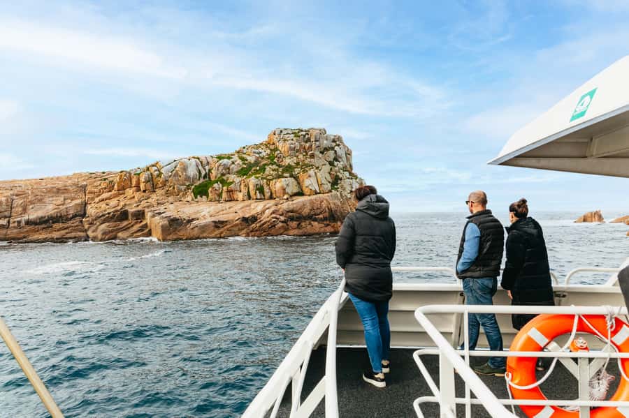 From Coles Bay: Wineglass Bay Cruise with Lunch - Wildlife watching around Freycinet