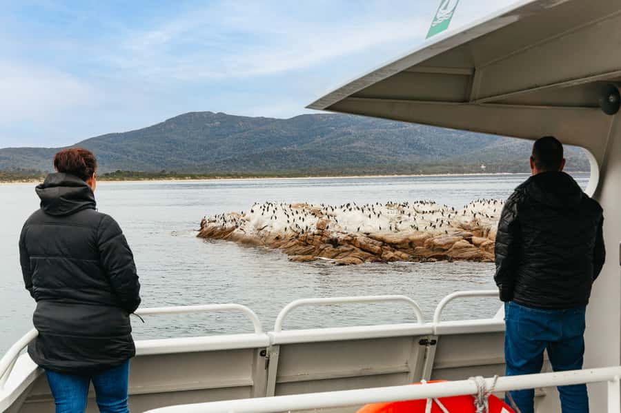 From Coles Bay: Wineglass Bay Cruise with Lunch - Who will enjoy this cruise most
