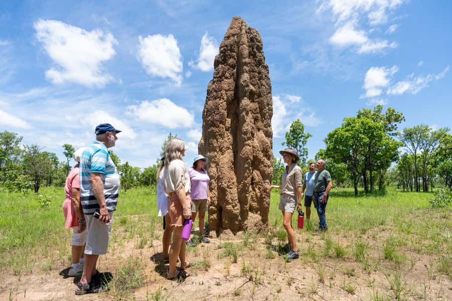 From Darwin: Litchfield National Park & Waterfalls Day Trip - Quick take: what makes this day worthwhile
