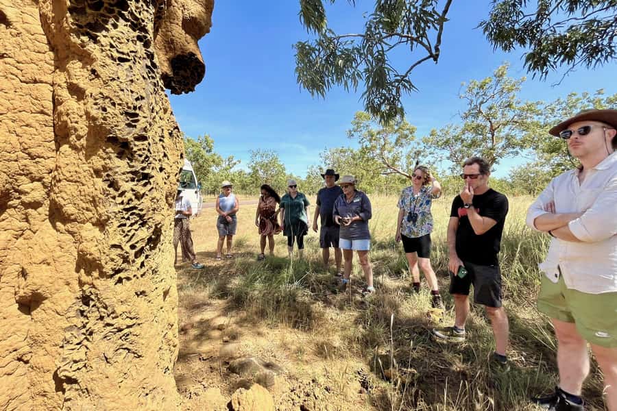 From Darwin: Litchfield National Park & Waterfalls Day Trip - Wangi Falls, Tolmer Falls, and changing conditions
