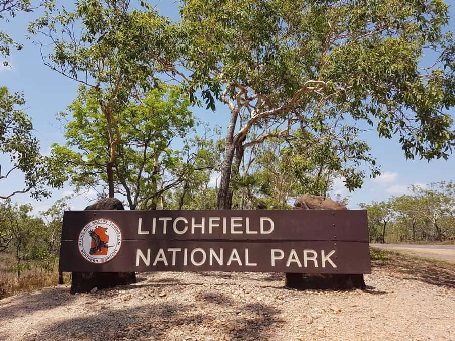 From Darwin: Litchfield National Park & Waterfalls Day Trip - Adelaide River: crocodiles or a quieter wetland stop