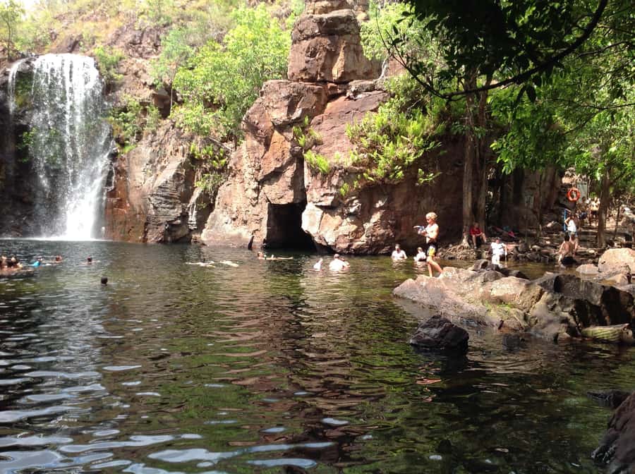 From Darwin: Litchfield Park Tour & Jumping Crocodile Cruise - The day begins with crocodiles, not a long park walk