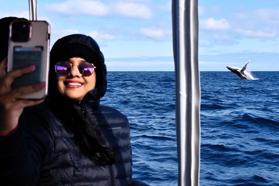 From Fremantle: 2-Hour Luxury Whale-Watching Cruise - Key points to know before you book