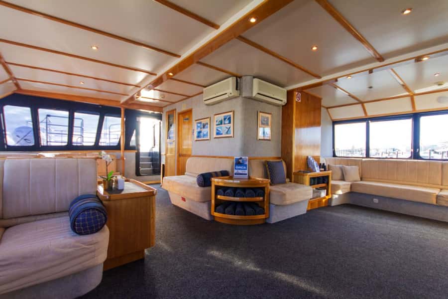 From Fremantle: 2-Hour Luxury Whale-Watching Cruise - Is $67 good value for two hours?