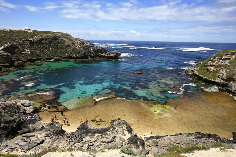 From Fremantle: Rottnest Island Ferry & Bus Day Tour - Key points to know before booking